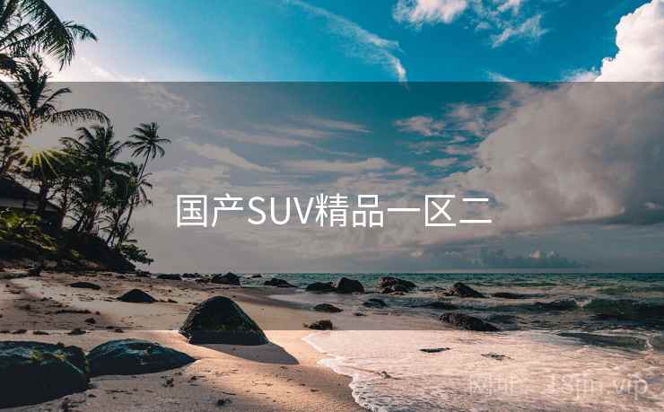 国产SUV精品一区二