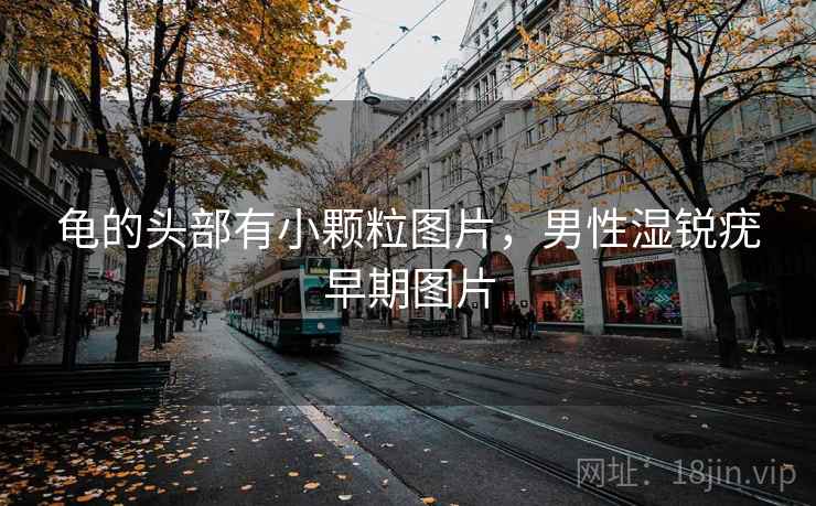 龟的头部有小颗粒图片,男性湿锐疣早期图片