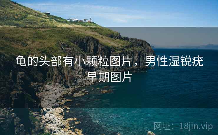 龟的头部有小颗粒图片,男性湿锐疣早期图片 龟的头部有小颗粒图片,男性湿锐疣早期图片