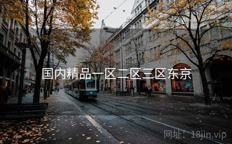 国内精品一区二区三区东京 国内精品一区二区三区东京