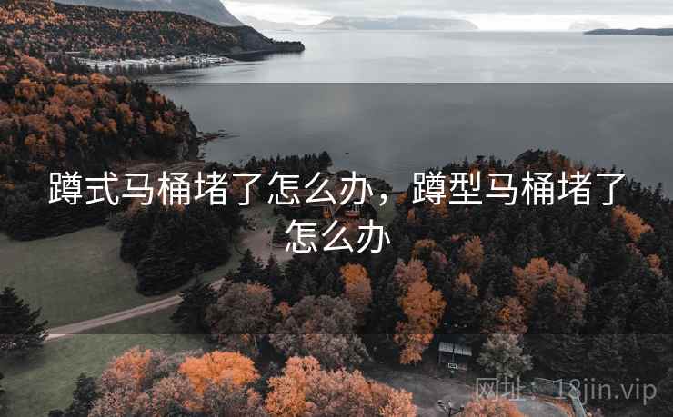 蹲式马桶堵了怎么办,蹲型马桶堵了怎么办 蹲式马桶堵了怎么办,蹲型马桶堵了怎么办